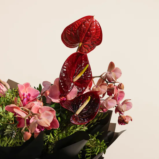 Coral Beauty Flower Bouquet
