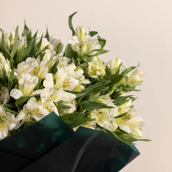 White Alstroemeria Charming Bouquet
