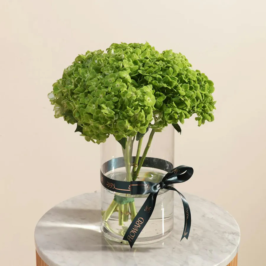 Fresh Green Hydrangea Vase 2