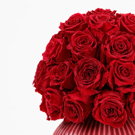 Preserved Rose Small | Knabstrup Vase