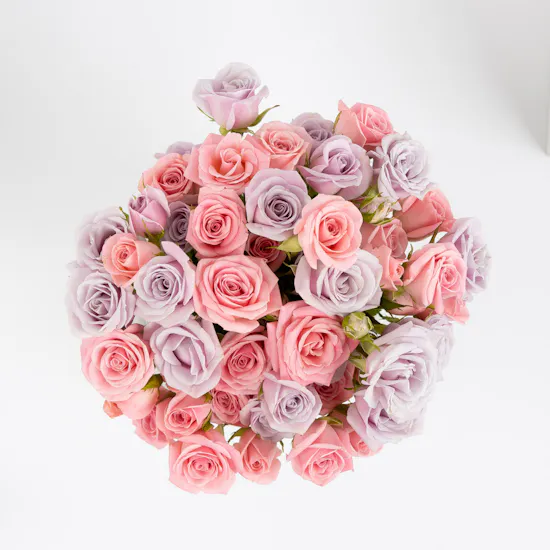 Dream's Vase