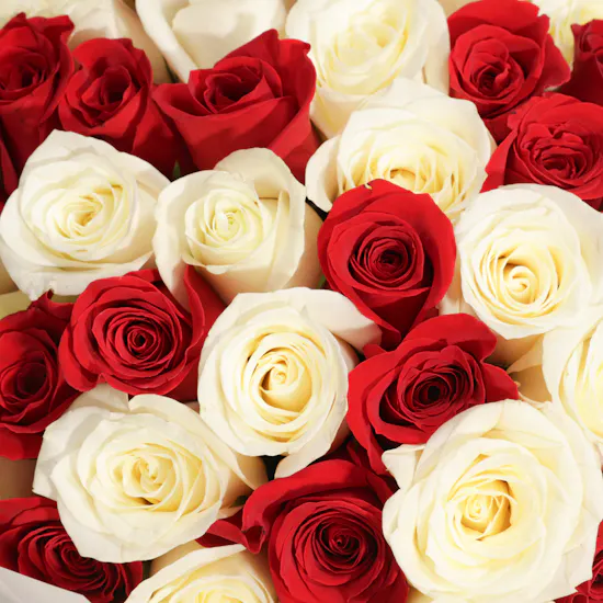 Pure Delight Rose Bouquet