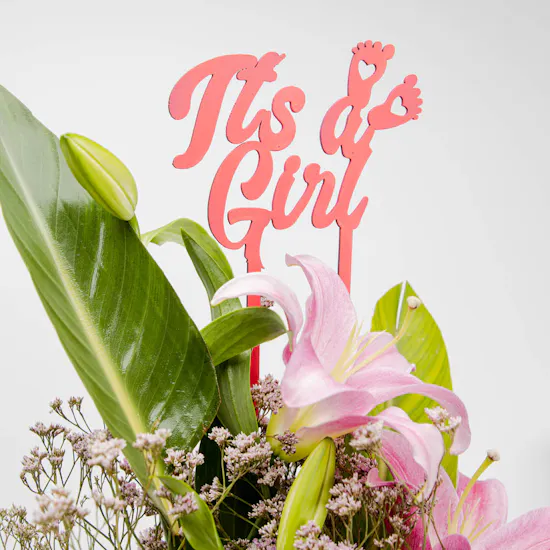 Pink Lilies Vase