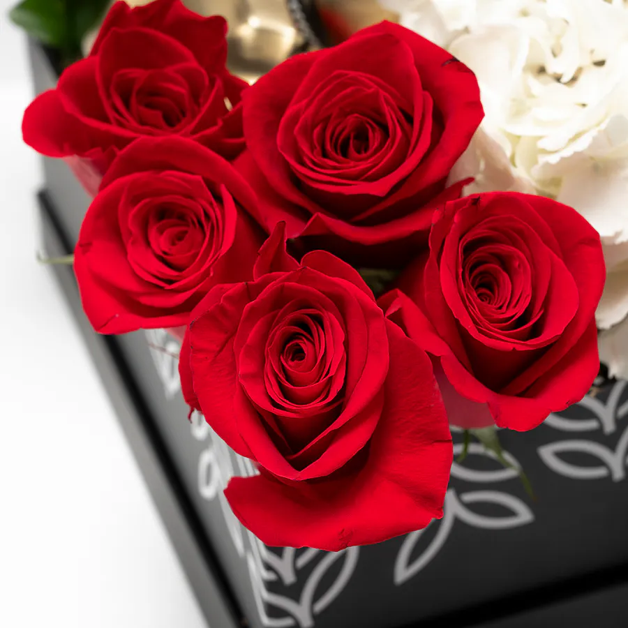 Simple Elegance Box  2