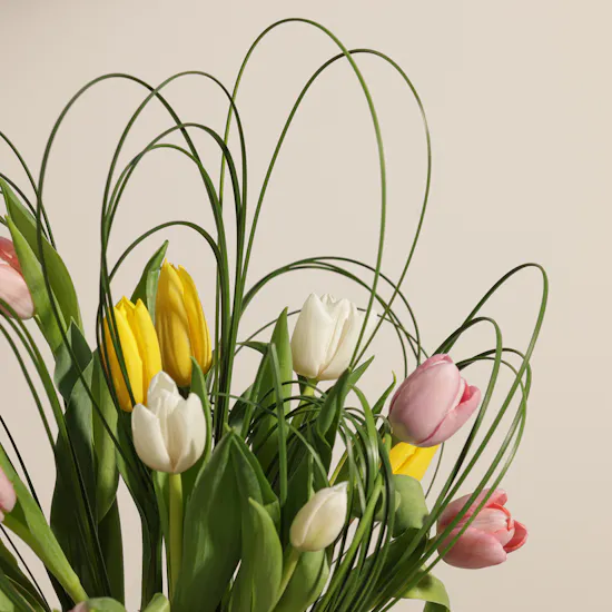 Delight Tulips