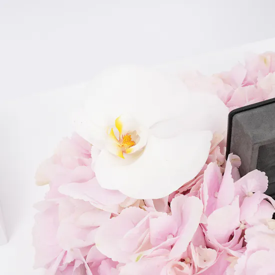 Lustro Jewelry & Soft Florals