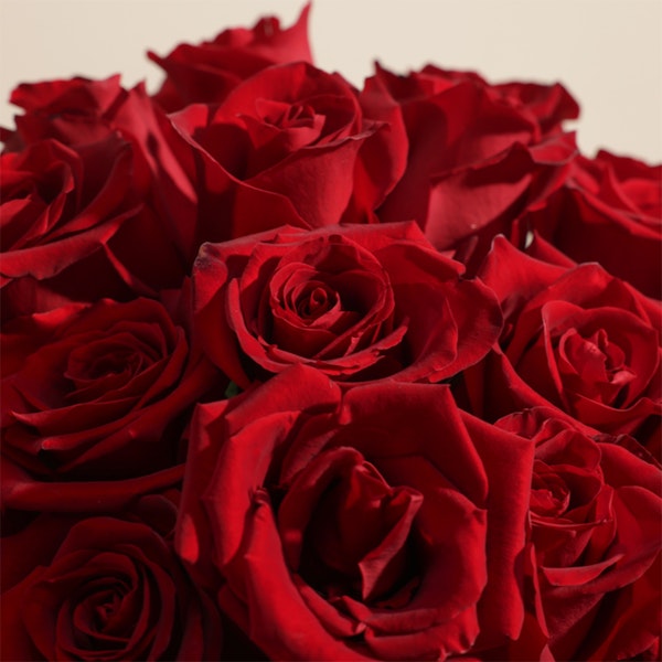 Erzulie Cakes Hearts and Kisses Biscuit Box | Heartfelt Red Roses Bouquet