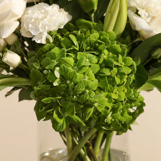 Auto Art Car Economic Protection Package Gift Voucher | Blushing Flowers Vase
