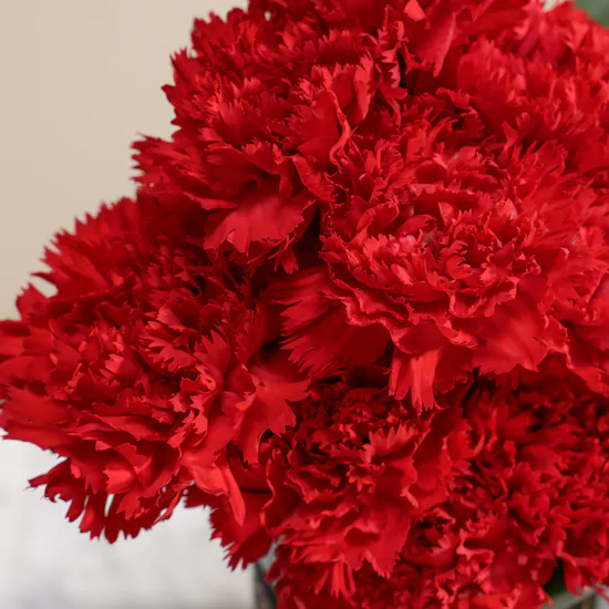 Astounding Red Carnation Vase