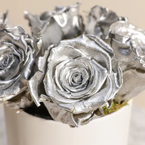 Preserved Silver Rose Box | 6 Roses