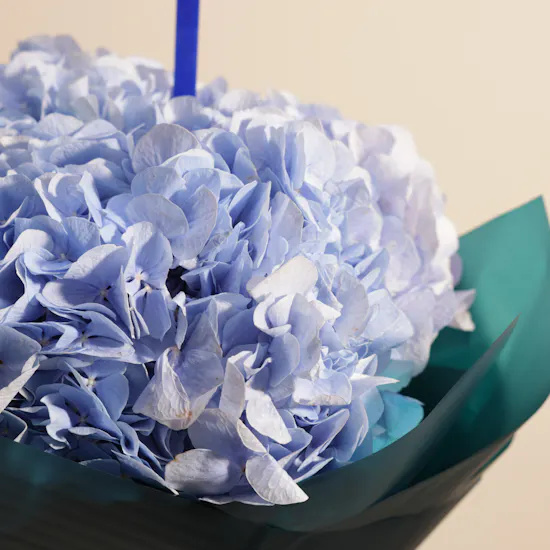 Azure Healing Hues Hydrangea Bouquet