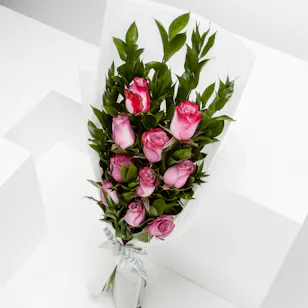 10 Purple Roses | White Wrap
