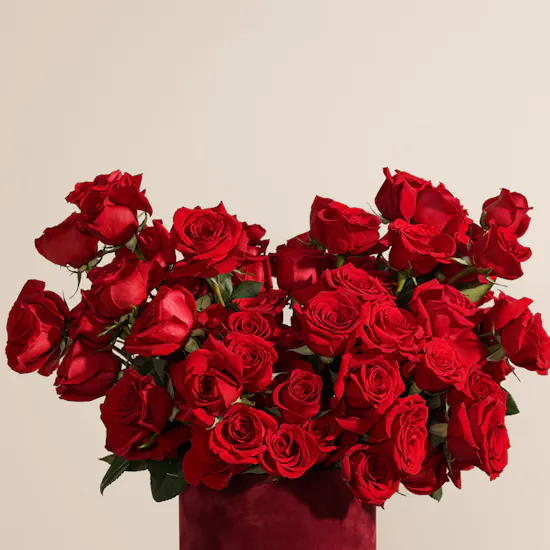 Heartbeat Red Roses Box
