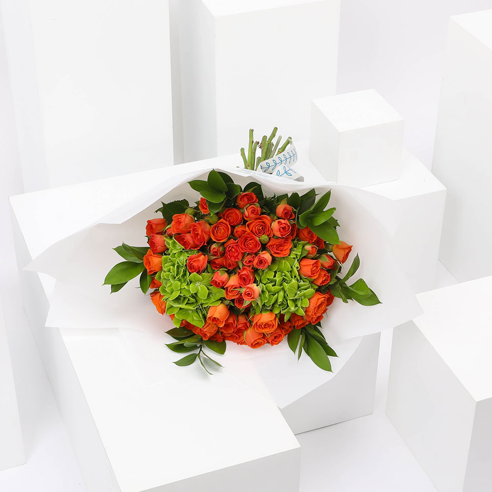 حديقه البيبي جوري