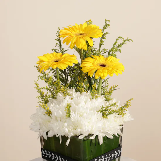 Floward Elegant Chocolates Box | Magic Pulse Flowers Vase