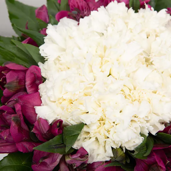 Carnation and Alstroemeria