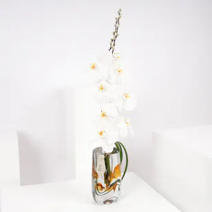 Beautiful Orchids Vase