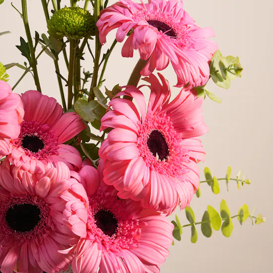 Pink Harmony Gerbera Vase