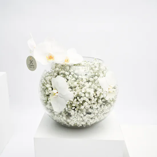 Pure White Floral Vase