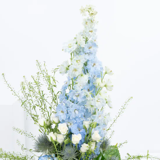Sweet Surprise | Glass Vase