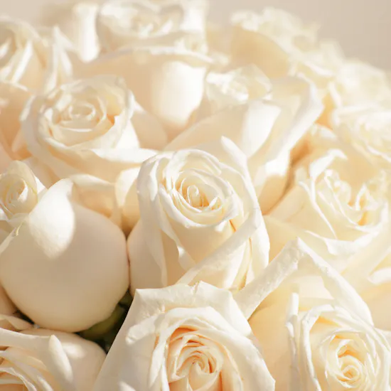 Majestic White Roses Vase | 35 Roses