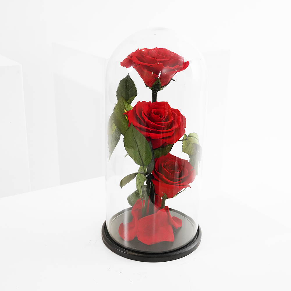  Preserved Red Roses | Glass Dome