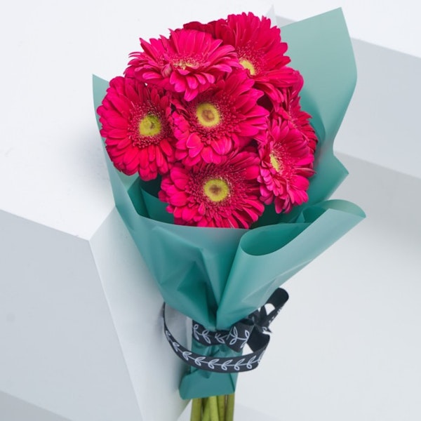 10 Gerbera | Hand Bouquet | Floward Muscat