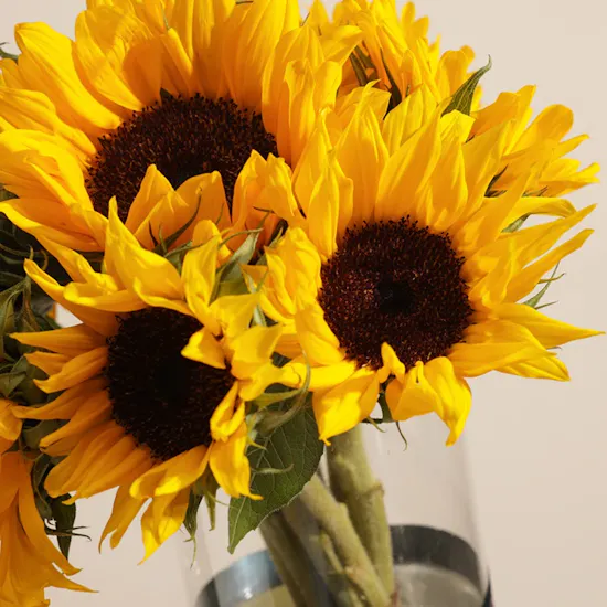 Stunning Sunflower Vase