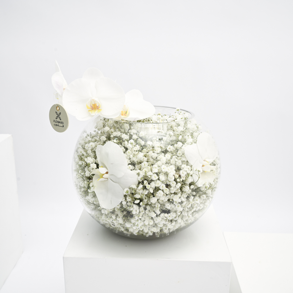 مزهرية الأزهار البيضاء 