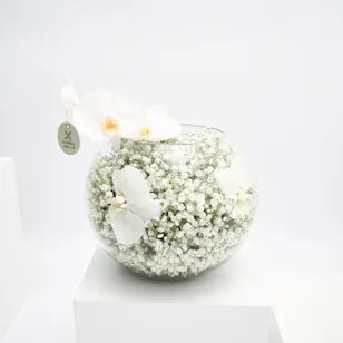 Pure White Floral Vase