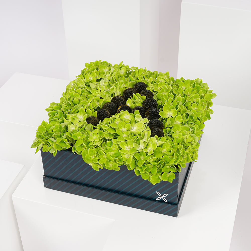 حرفك المفضل  بالورد | كراسبيديا