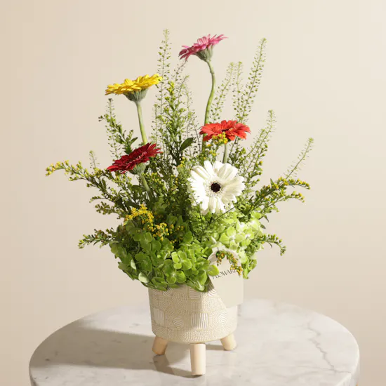 Color Carnival Flower Vase