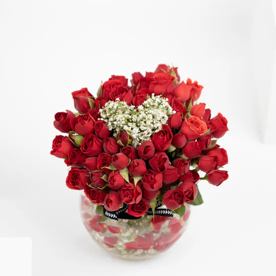 Adoration | 20 Baby Roses