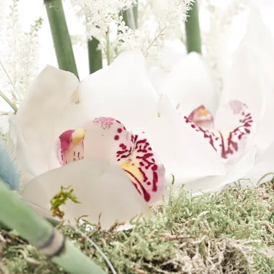 Elegant Flowers | Silver Tray