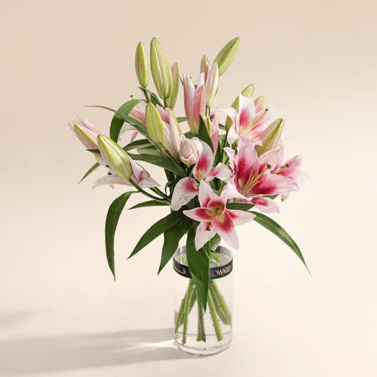 Lilies Love Unfolds in Vase
