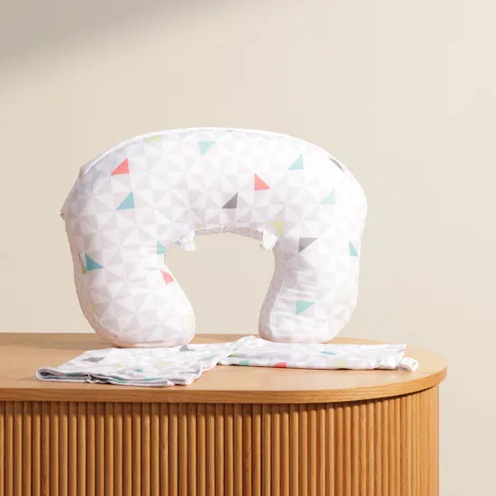 Ingenuity Plenti+ Colorful Nursing Pillow and Cover Set