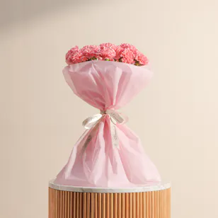 Delicate Pink Carnation Bouquet 