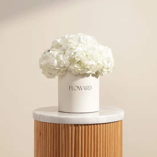 Magical White Hydrangea Box | 8 Flowers