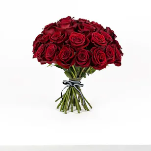 25 Red Roses Bouquet 25 Red Roses Bouquet