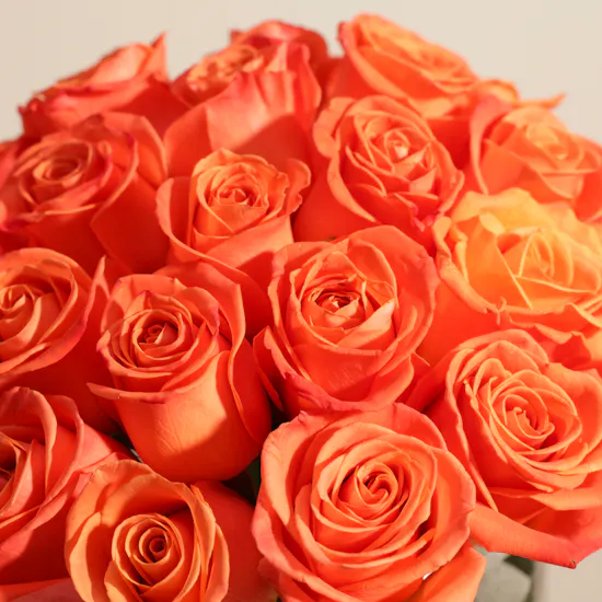 Orange Roses Vase | 35 Flowers