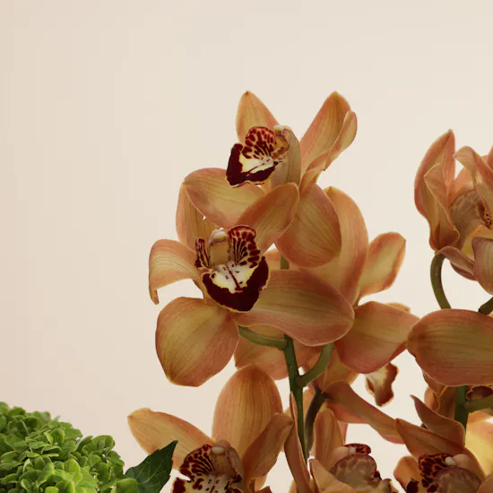 Artfeena Salwa Palace Astounding Flowers Gold-plated Vase