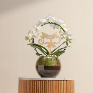 Graduation Orchid White Loop Vase