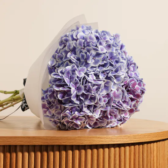 Hydrangea Magical Harlekijn Blue Bouquet