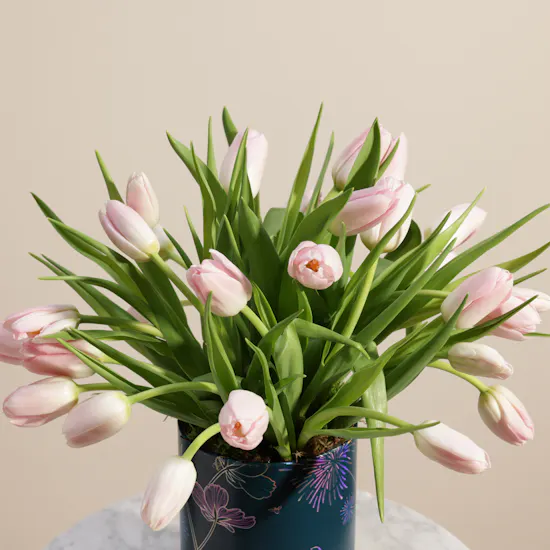 Gentle Pink Tulip Box | 30 Flowers