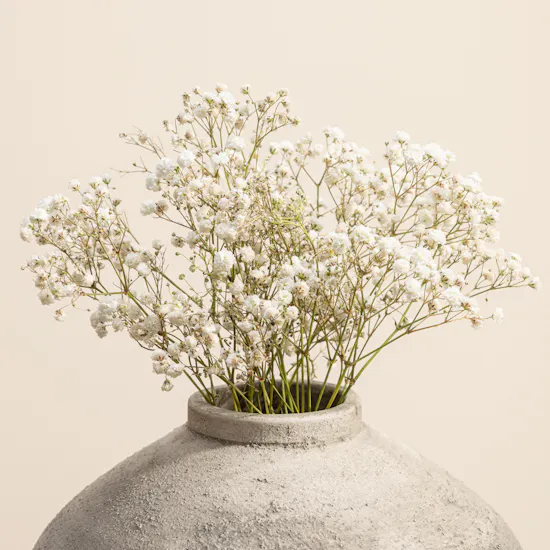 Ukiyo White Gypsophila Rustic Roots Vase