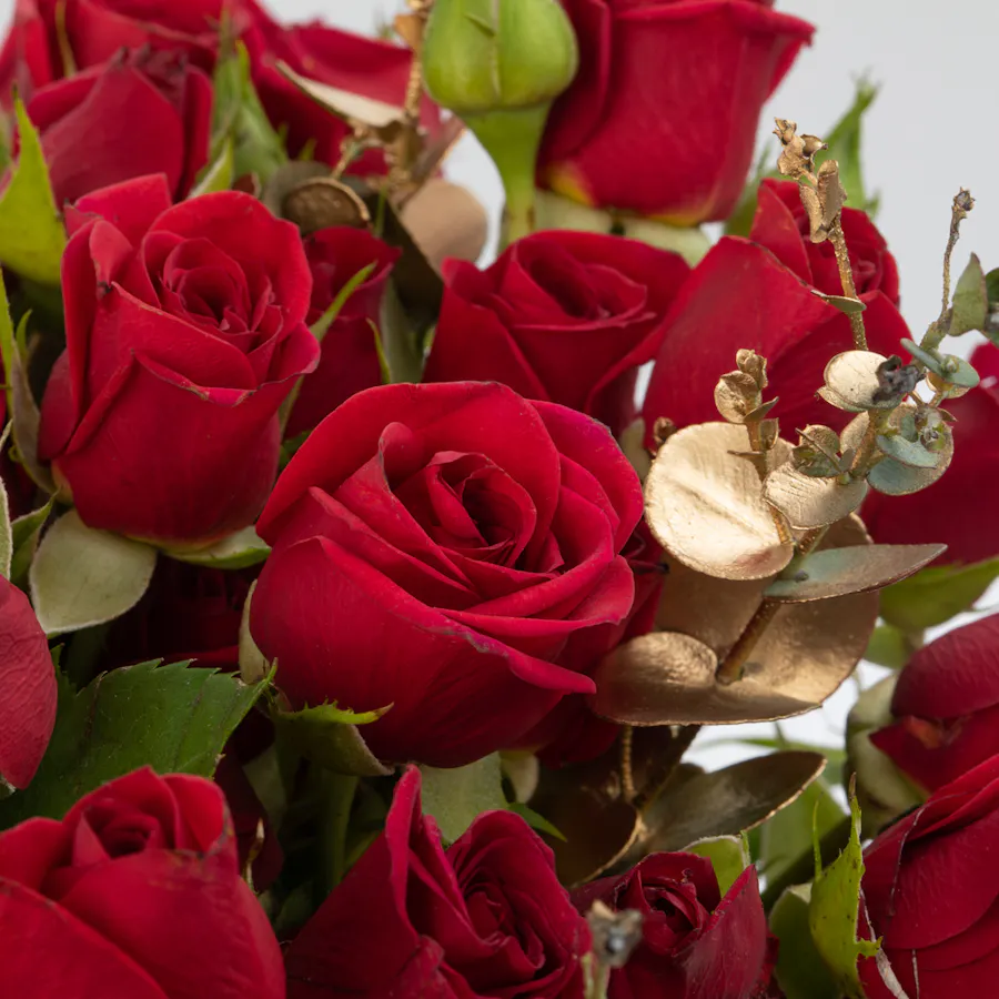 Red Baby Roses | White Vase 5