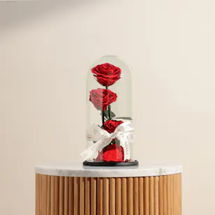 Preserved Red Roses Dome