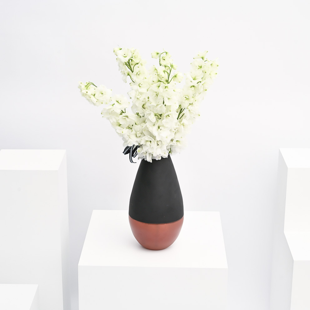 Elegant Delphinium | Black Vase