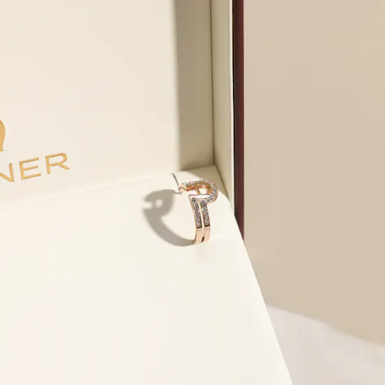 Aigner Fashion Women's Earrings