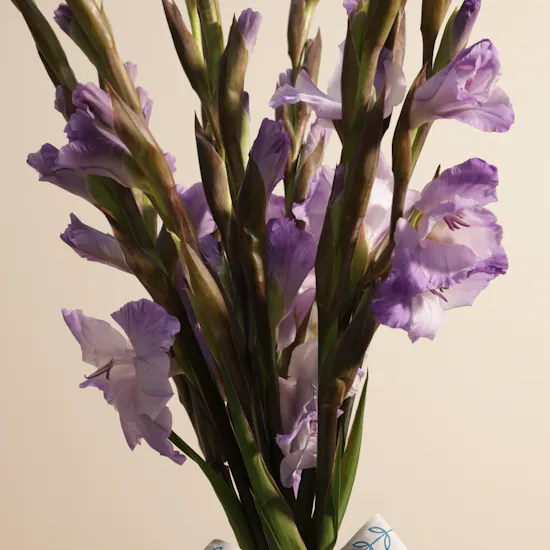 Purple Gladiolus | Flowers Bouquet